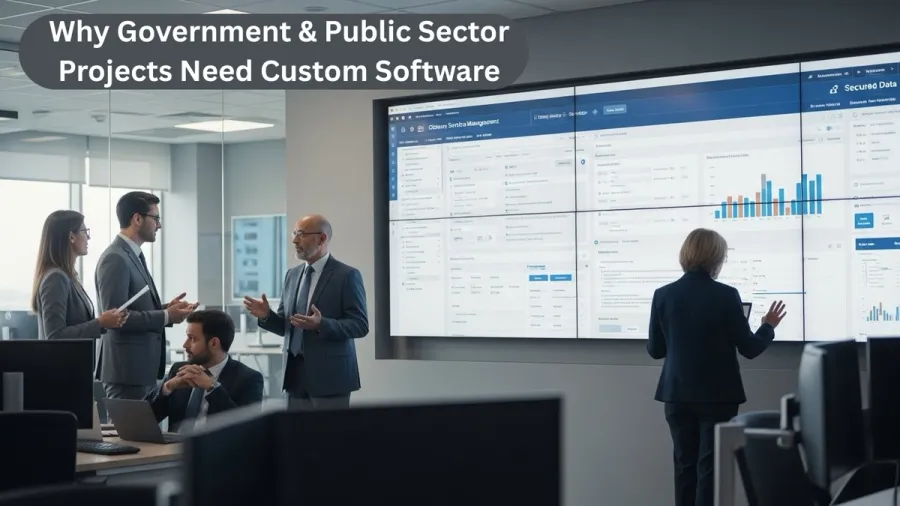 Why Government & Public Sector Projects Need Custom Software